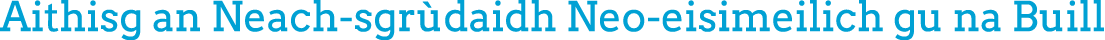 Aithisg an Neach sgr daidh Neo eisimeilich gu na Buill