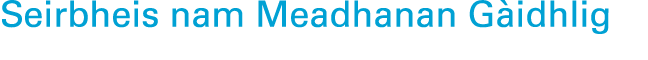 Seirbheis nam Meadhanan G idhlig