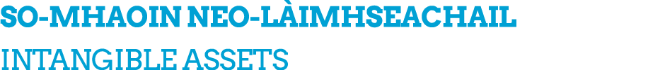 SO MHAOIN NEO L IMHSEACHAIL INTANGIBLE ASSETS