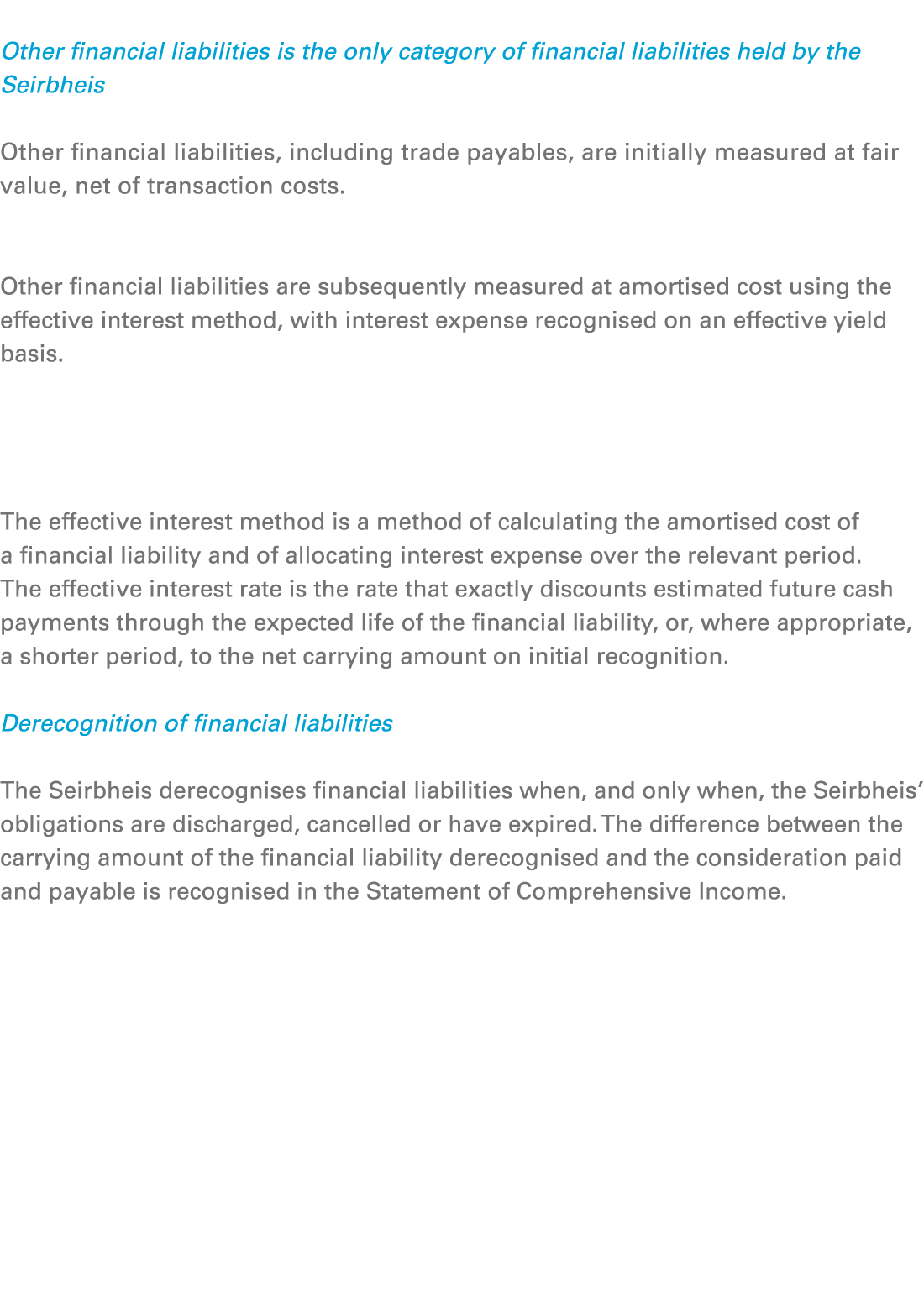  Other financial liabilities is the only category of financial liabilities held by the Seirbheis Other financial liab...